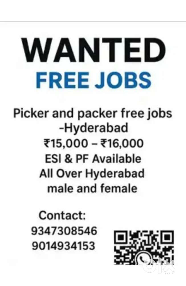 All free packing jobs available
