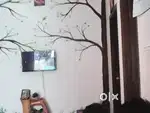 Ole pepare cryarr