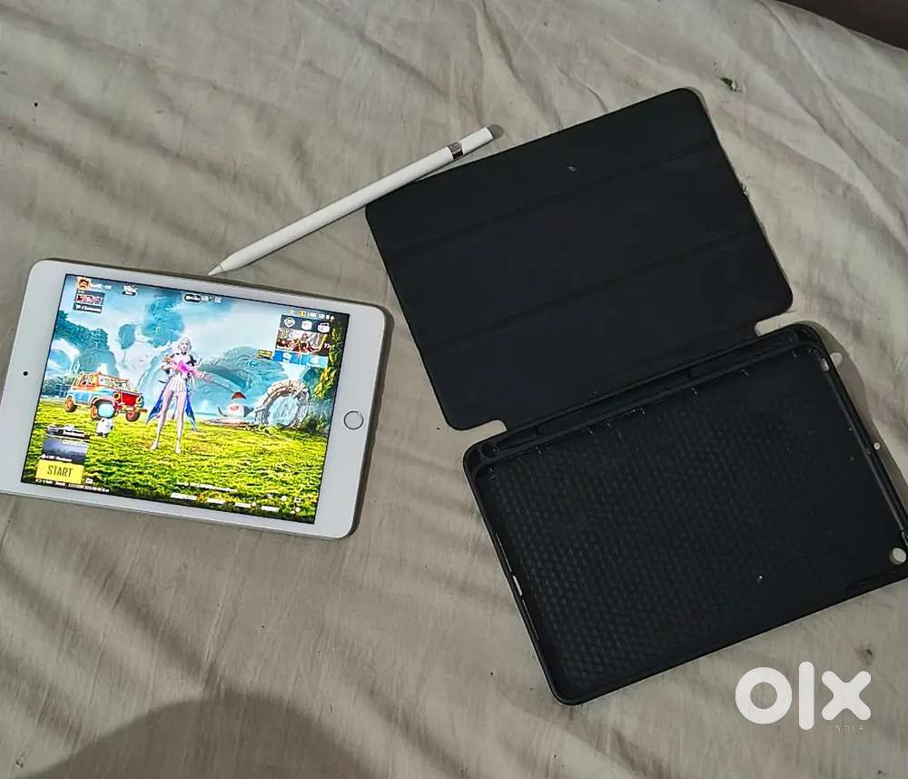Ipad mini 5 + Apple pancel+Magnetic cover
