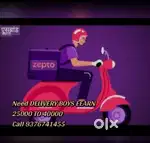 DELIVERY BOYS FOR GROCERIES BEST EARNING