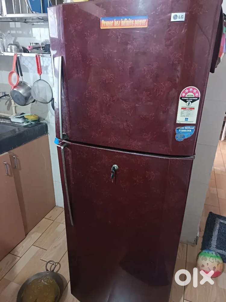 Fridge double door