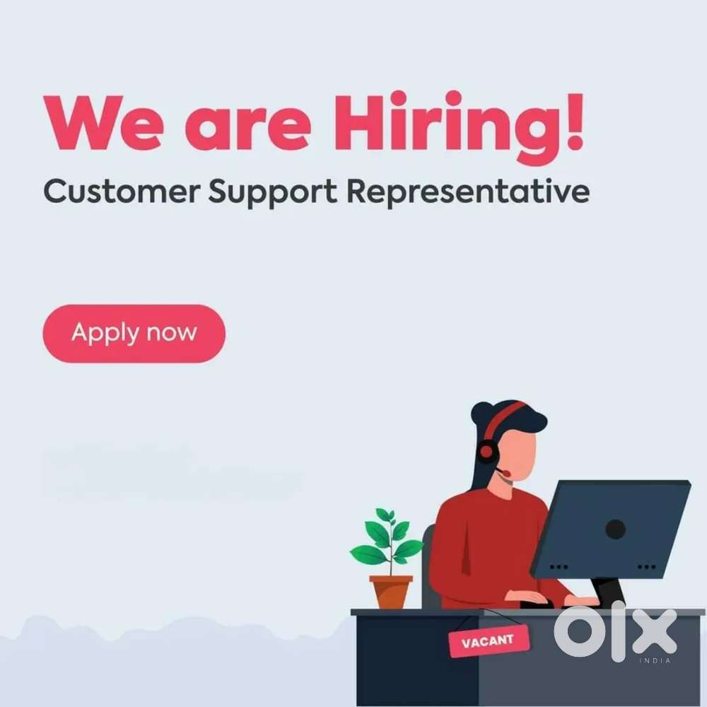 Office Data Entry/ Customer Service Executive  work from home job