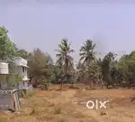 62.5 cent plot for sale near panniyankara toll plaza paruvasseri