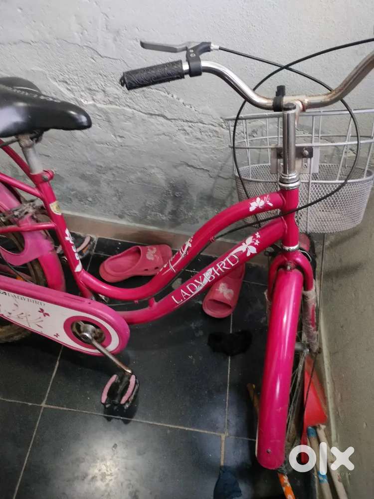 Lady bird bicycle