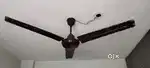 Silling Fan