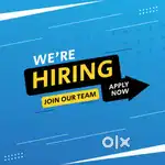 Electrical panel and automation engineer