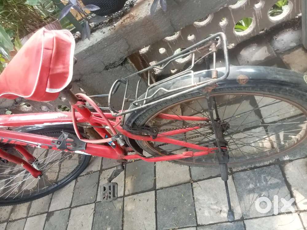 Cycle bechni hai jisko chahiye please send messege