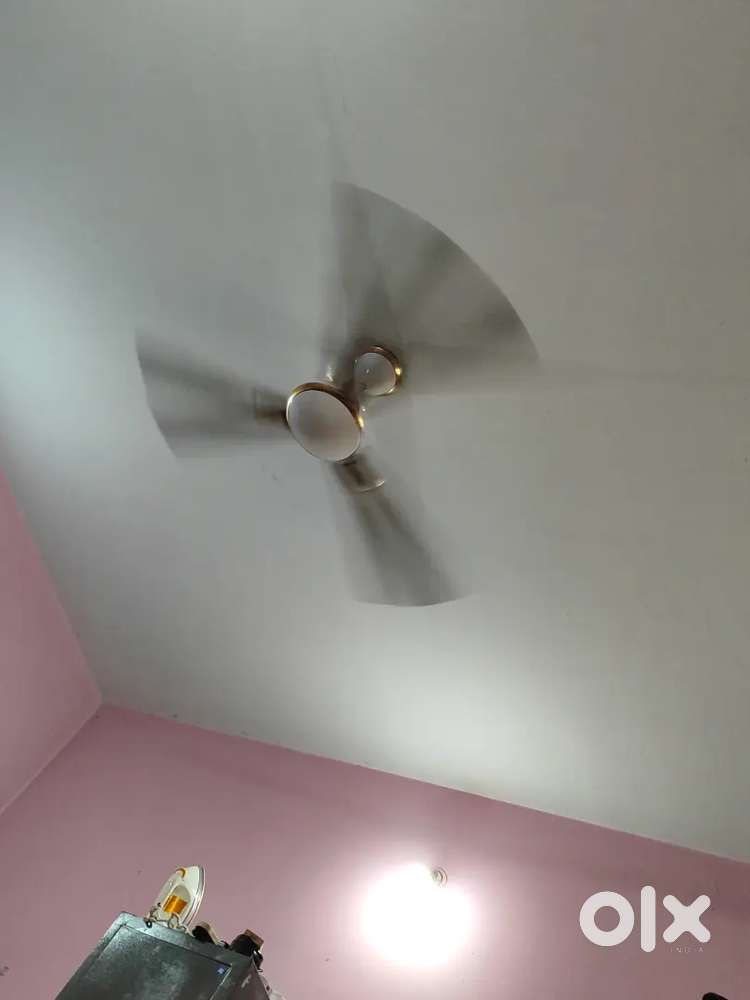 Need roommate who have flat to share