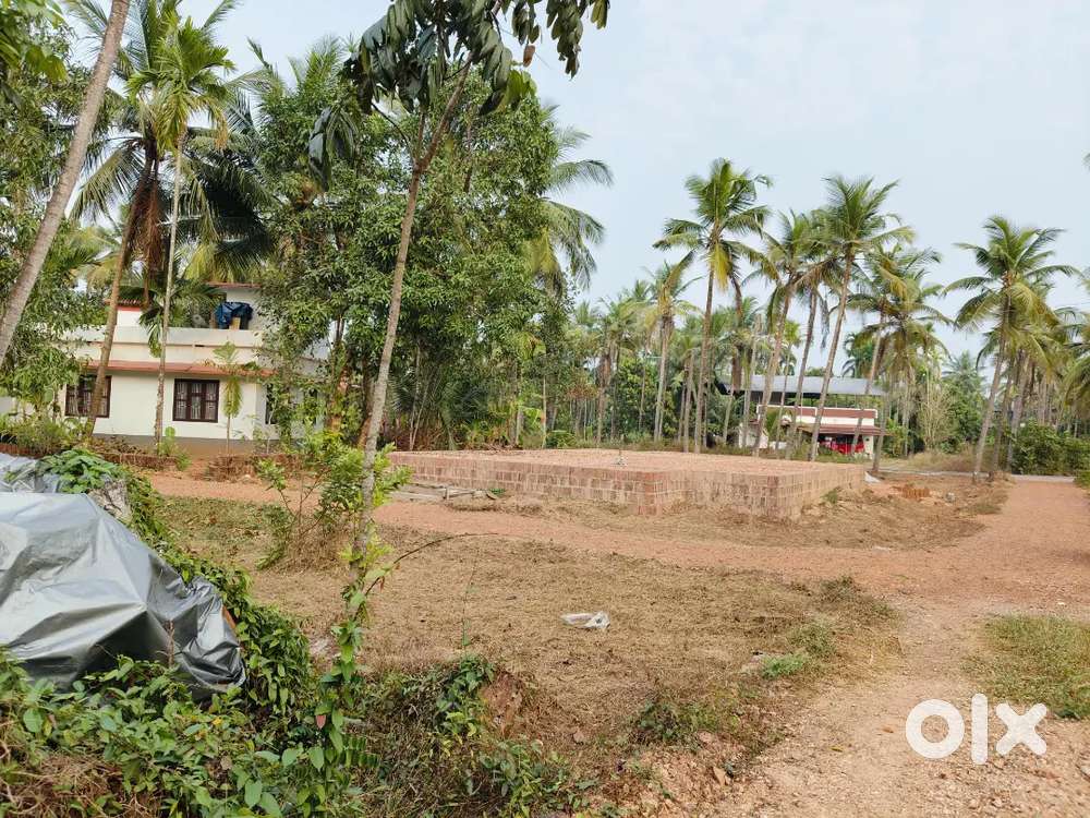 12സെന്റ് സ്ഥലം വില്പനക്ക് (സെന്റിന് -2,30,000)കണ്ണൂർ