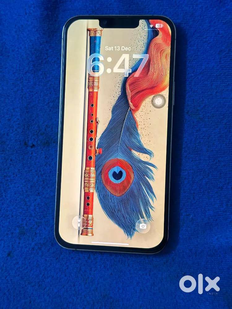 iPhone 13 pro max 256