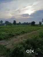 Plot for sale 300 meters from lucknow sitapur highway