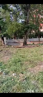 REGISTRY PLOT FOR SALE IN JAWAHARNAGAR MANGO ROAD NO 17 NEAR KPS