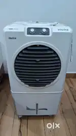 VOLTAS Delite Cooler 36L
