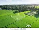 170 gaj plot Sector 74