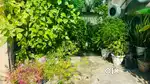 150 plus plants with all decorations