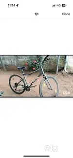 ROCK RIDER
