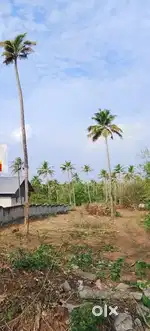 70 cent plot for sale in nedumgolam paravur kollam.