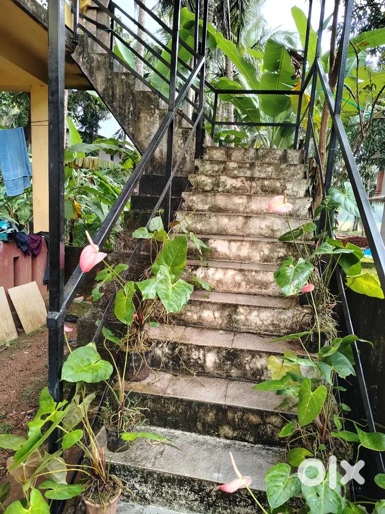 Kamal Aparments for monthly rent