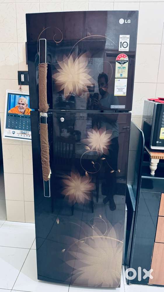 LG 400 Ltr 4-Star Smart Inverter Double Door Fridge (Model D402JHSL)