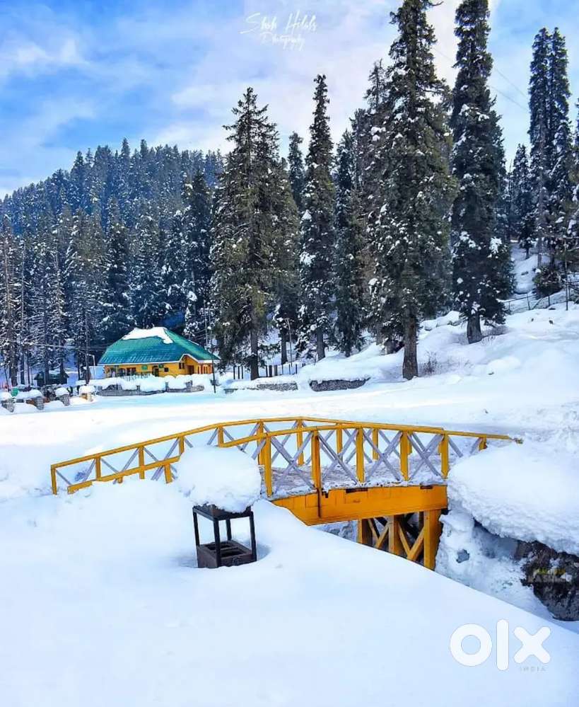 Dosai master needed for Kashmir Srinagar