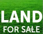 Land for sale 18 cent kolani near thodupuzha