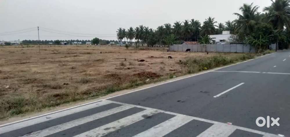 Dtce approved site PICJANOOR