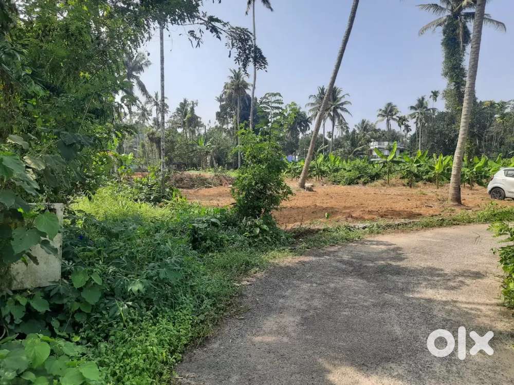 25 cents near to North paravur thanipadam land for sale good for plots