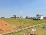 बिलासपुर राजकिशोर नगर में शानदार रेजिडेंशियल प्लॉट उपलब्ध।