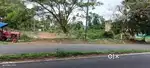 ANKULI. GAYATRI NAGAR. ROAD SAID PLOT