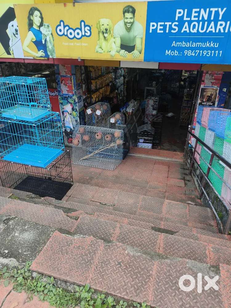 Staff needed for Pets Shop