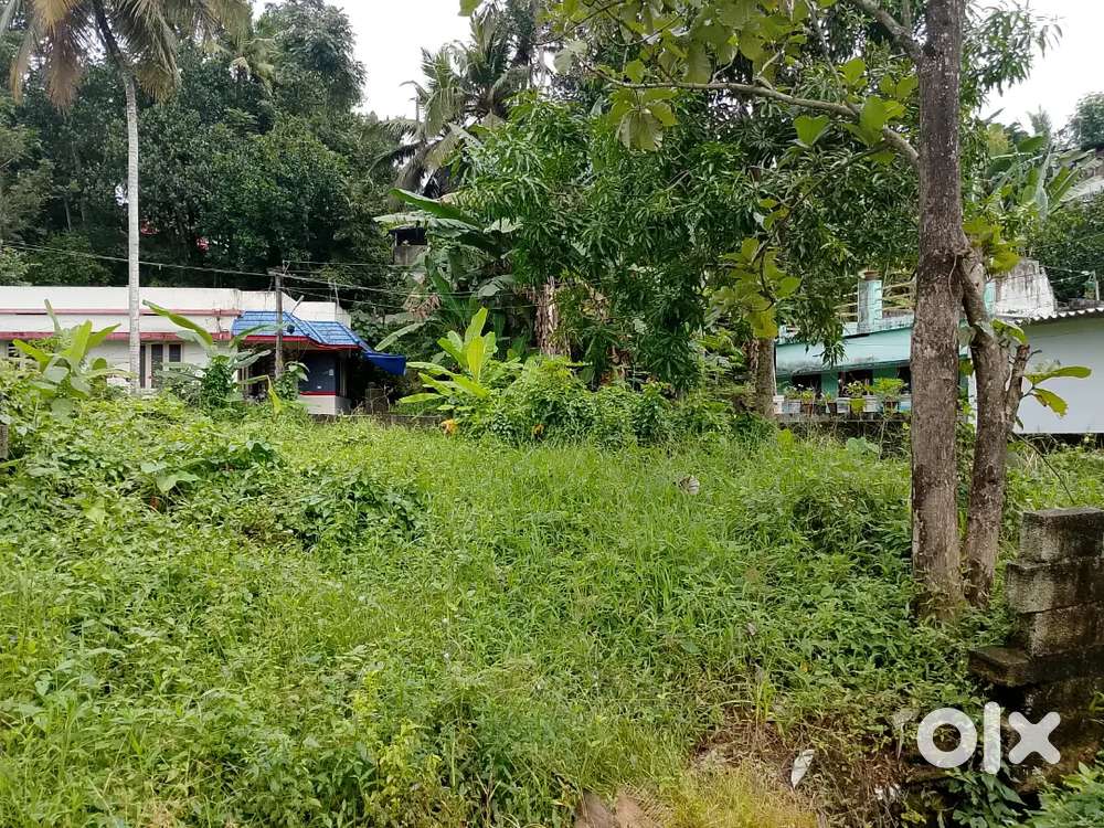 Thrikannapuram Kunnapuzha Near Ayyapp temple,6.5 Cent Per Cent 7 Lakh