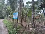 Land for sale at Puthur- Karimpinpuzha