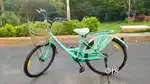 Gracie  Lady Bird Cycle