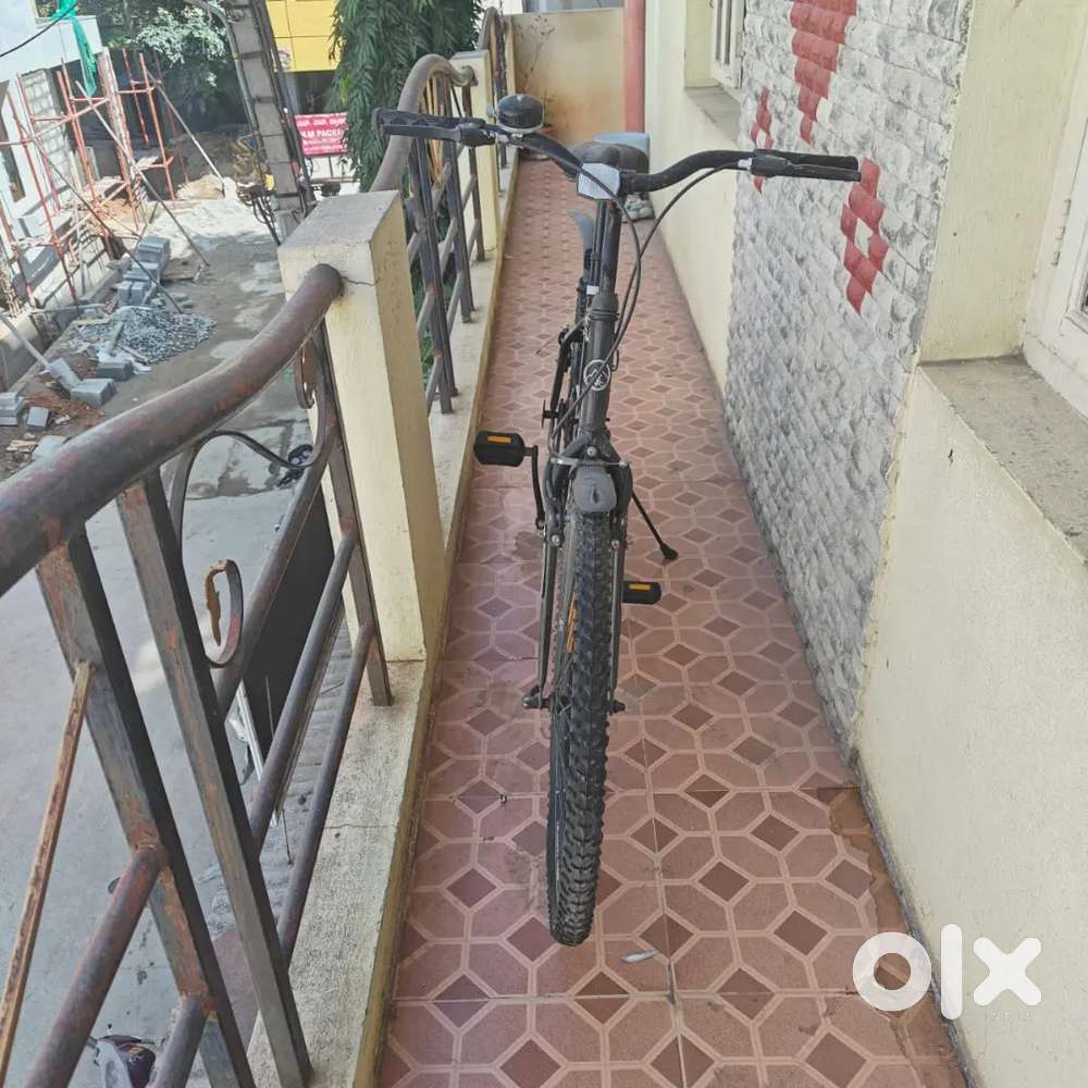 Hazel lady bird cycle and urban terrain cycle