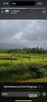 Single room available
