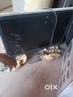 computer monitors for immediate sale