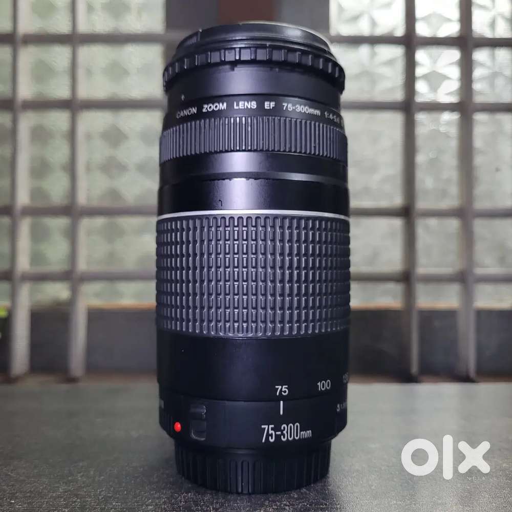 Canon EFS 75-300mm f/4-5.6