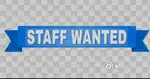 Looking for support staff for Automotives business
