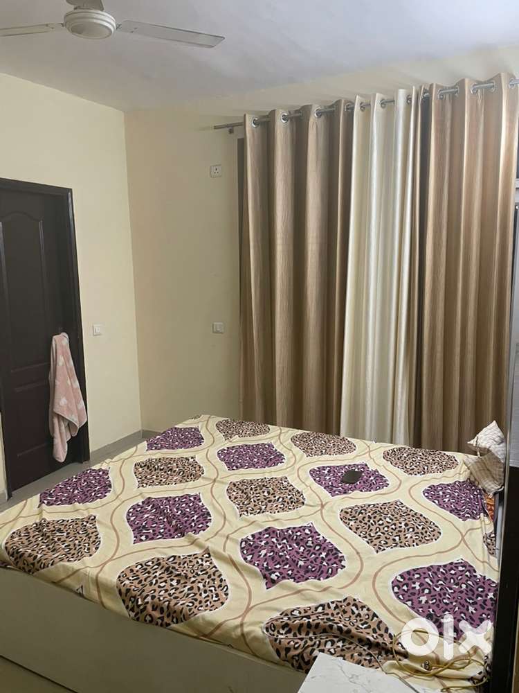 Need room partner