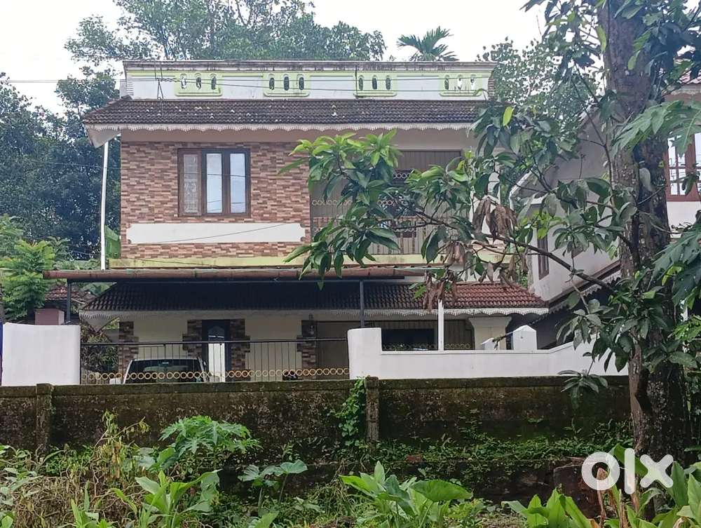 House at vellappally for sale