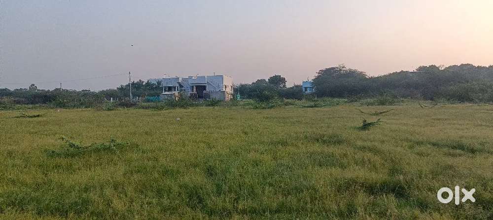 Sayarpram nattathi village near DTC plots best invisment Plots30f Road