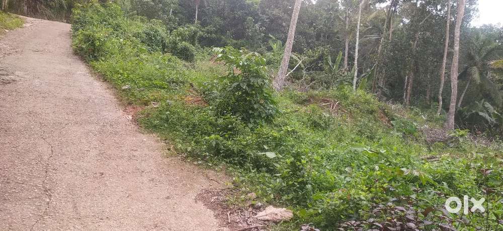 10 cent housing plot for sale.