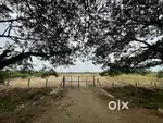 Highway face land for rent space EB and Bore Available with Fence Gate