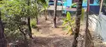 12/25 CENTS PRIME RESIDENTIAL PLOT FOR SALE NEAR EDAPAZHANJI