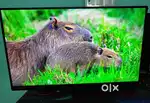 LG Monitor