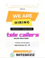 Customer Executive