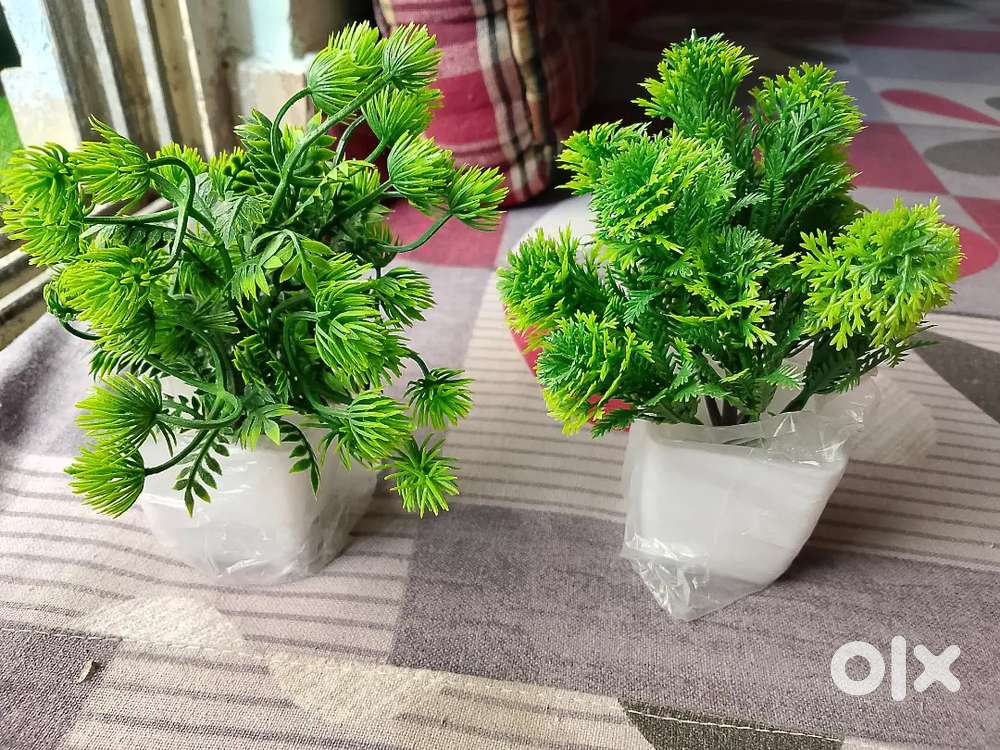 Artificial flowers, n plant