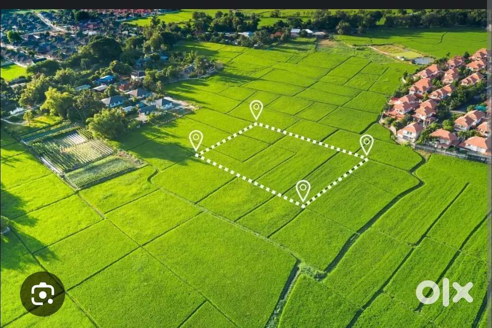 पाली मे नया गाँव की तरफ प्लॉट चाहिए