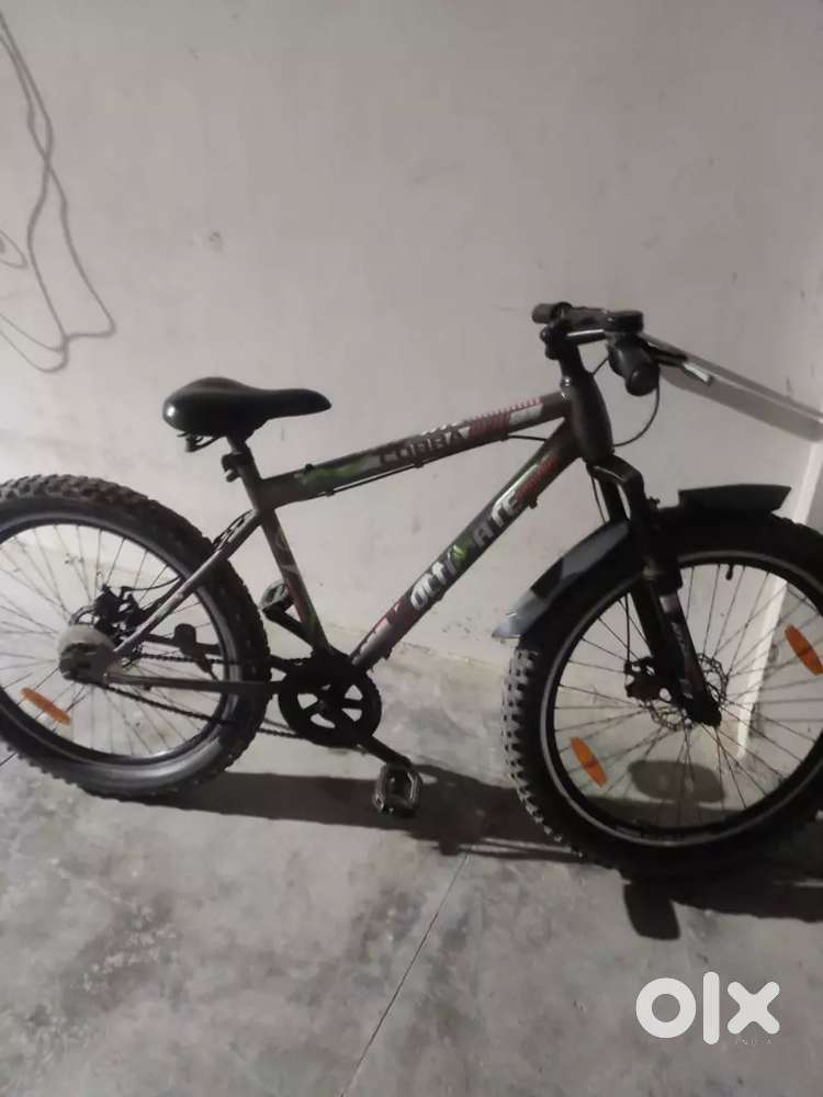 Ultimate cobra dual disc brake bicycle