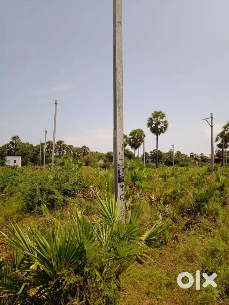 Jagananna Land For Sale